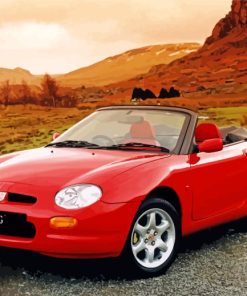 Red MGF Car Paint By Numbers