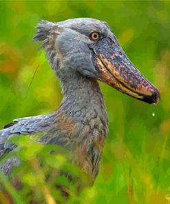 Aesthetic Shoebill Bird Paint By Numbers