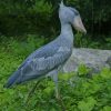 Shoebill Stork Paint By Numbers
