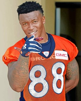 Demaryius Antwon Thomas Paint By Numbers 