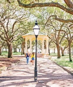 White Point Gardens Charleston Paint By Numbers