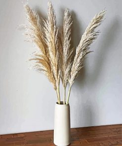 Pampas In Vase Paint By Numbers
