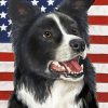 Patriotic Border Collie Paint By Numbers