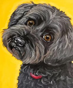 Black Cockapoo Art Paint By Numbers