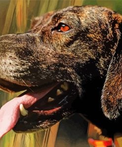 Plott Hound Side Profile Paint By Numbers