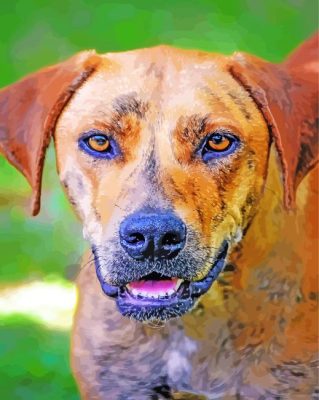 Plott Hound Dog Paint By Numbers 