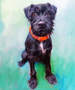 Black Cockapoo Dog Paint By Numbers