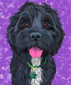 Black Cockapoo Art Paint By Numbers