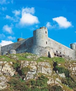 Harlech Castle Wales Painting By Numbers art