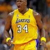 Shaquille ONeal Paint By Numbers art