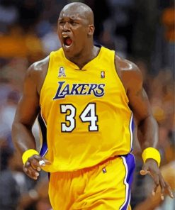 Shaquille ONeal Paint By Numbers art