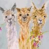 Cute Alpacas Paint By Numbers art
