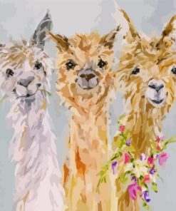 Cute Alpacas Paint By Numbers art
