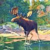 Beautiful Moose Paint By Number