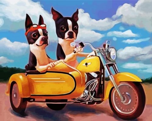 Boston Terriers Paint By Numbers 