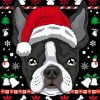 Christmas Boston Terrier Paint By Number