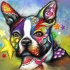 Colorful Boston Terrier Animal Paint By Number