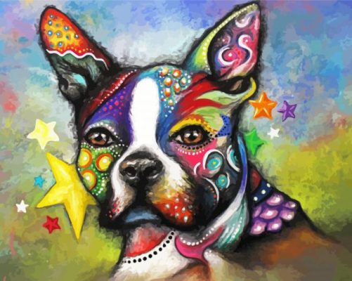 Colorful Boston Terrier Animal Paint By Number