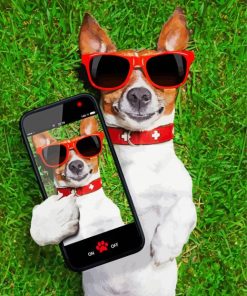 Dog Taking Selfie Canada Paint By Number