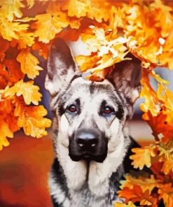 German Shepherd Fall Paint By Number