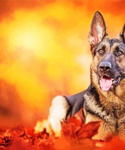 German Shepherd Autumn Paint By Number