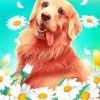 Golden Retriever With Daisies Paint By Number