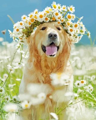 Golden Retriever In Daisies Paint By Number