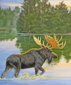 Moose In Lake Paint By Number