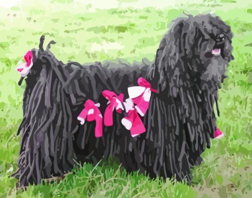 Puli Sheepdog Paint By Numbers 