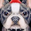 Punk French Bulldog Paint By Number