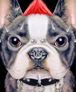 Punk French Bulldog Paint By Number