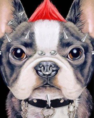 Punk French Bulldog Paint By Number