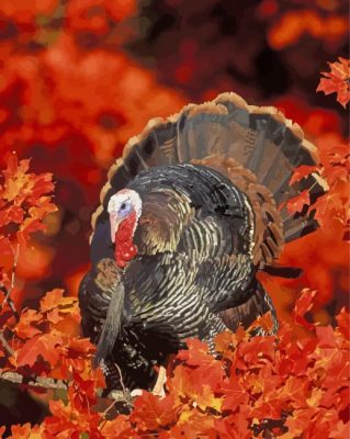 Turkey In Fall Paint By Numbers