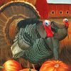 Turkey Birds In the Fall Paint By Number