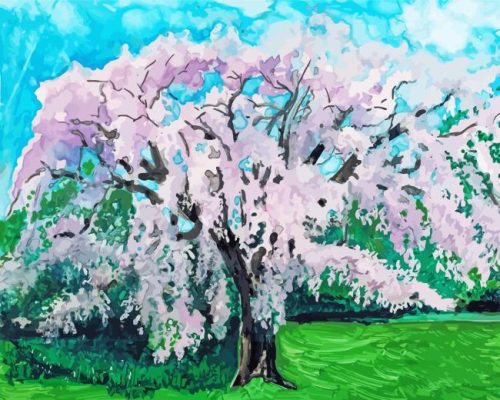 Weeping Cherry Tree Paint By Number