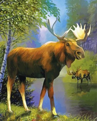Wild Moose Paint By Numbers 
