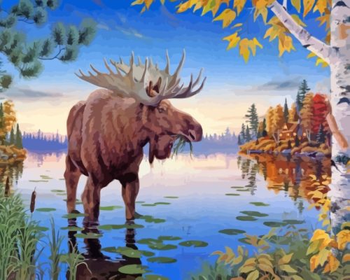 Wildlife Moose Paint By Number