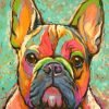 Abstract French Bulldog Art Paint By Number