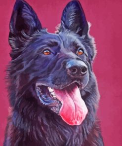 Black Shepherd Paint By Number