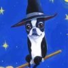 Boston Terrier Witch Paint By Number