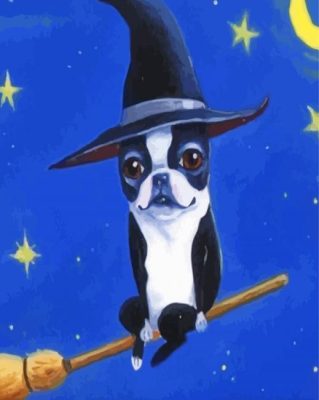 Boston Terrier Witch Paint By Number