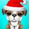 Aesthetic Santa Puppy Paint By Number