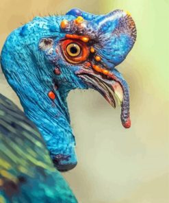 Blue Bird Turkey Paint By Numbers