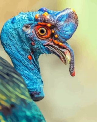 Blue Bird Turkey Paint By Numbers 