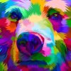 Colorful Bear Face Paint By Numbers
