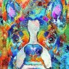 Boston Terrier Art Paint By Number