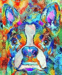 Boston Terrier Art Paint By Number