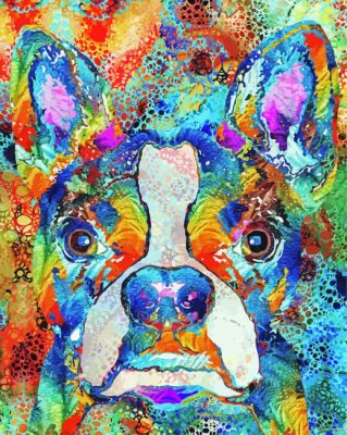 Boston Terrier Art Paint By Number