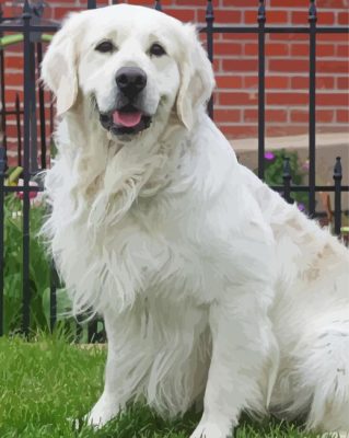 English Cream Golden Retriever Paint By Number