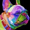 French Bulldog Pop Art Paint By Number
